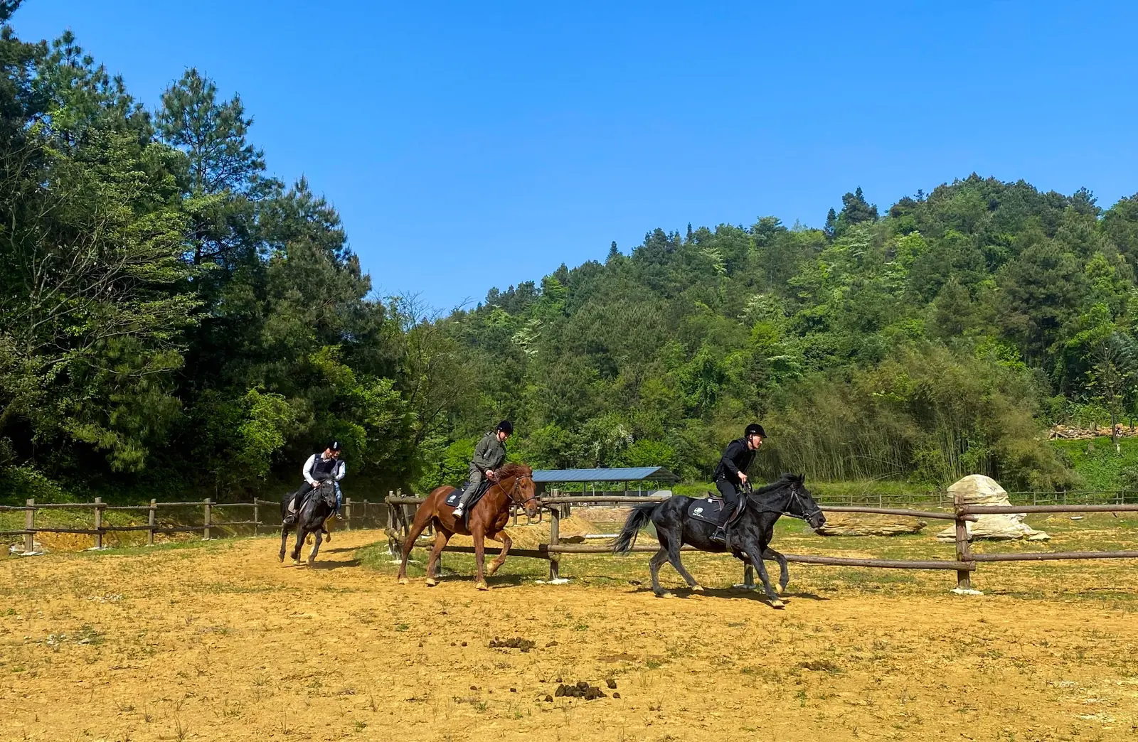 游客在山野马场体验骑马